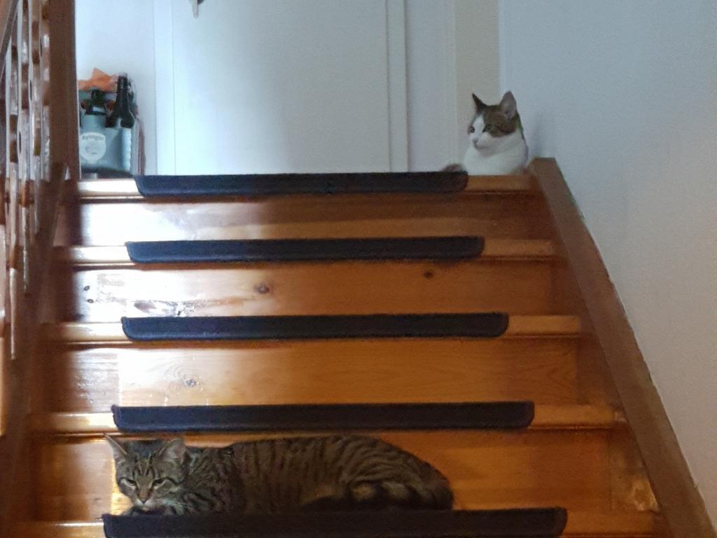 Landhaus Grassmann ピディング エクステリア 写真